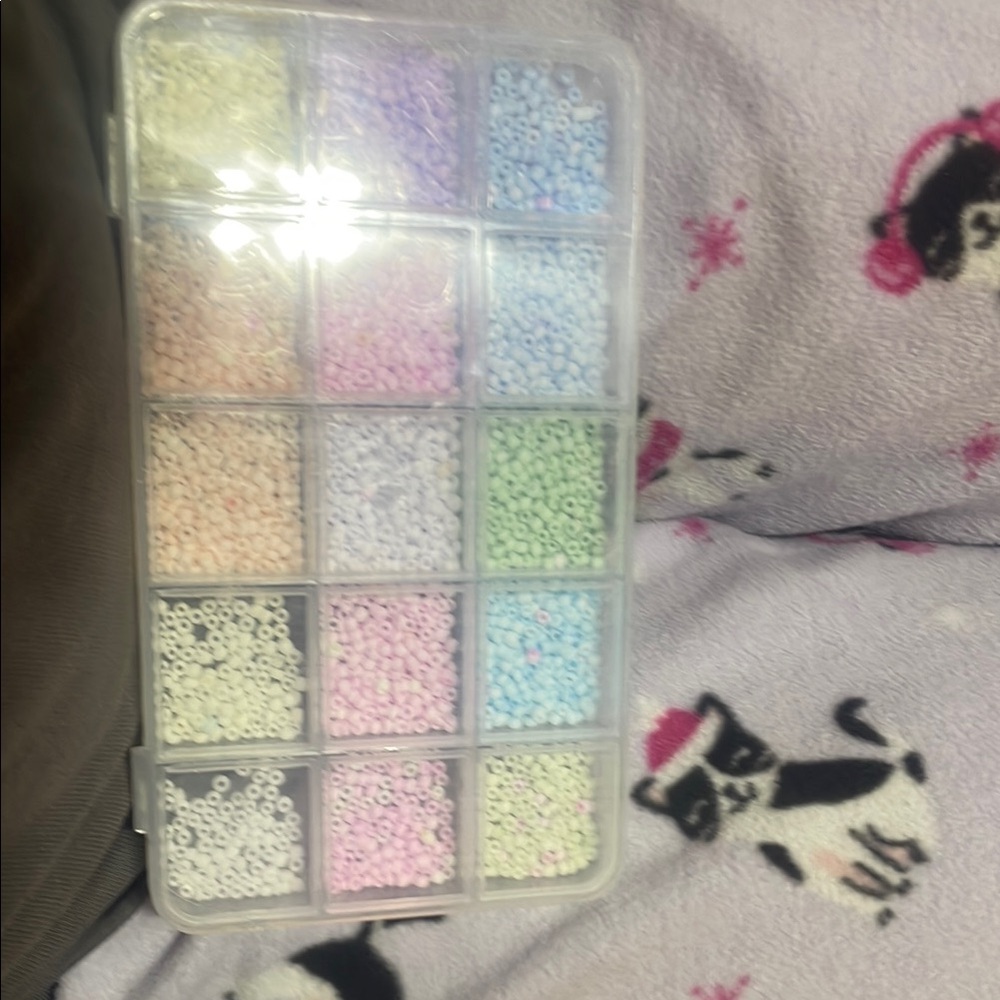 Colorful Bead Organizer